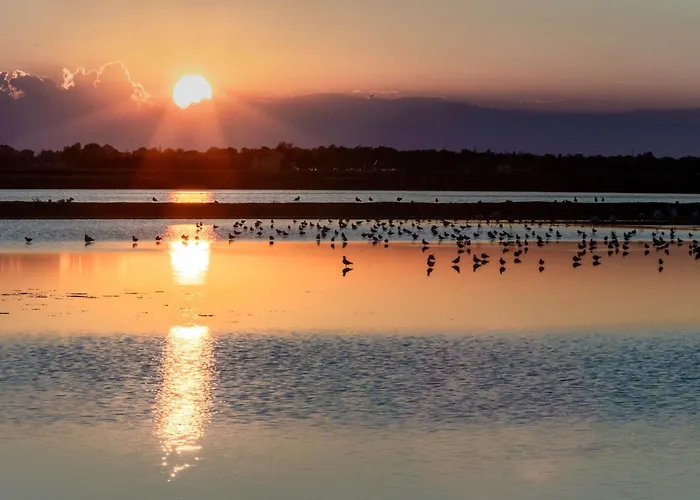 Otel Oriente Milano Marittima